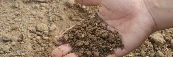 Top Fertiliser Producers You Need To Know 2 - Top Fertiliser Producers You Need To Know